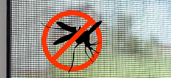 Mosquito net fitted on a window in Mumbai
